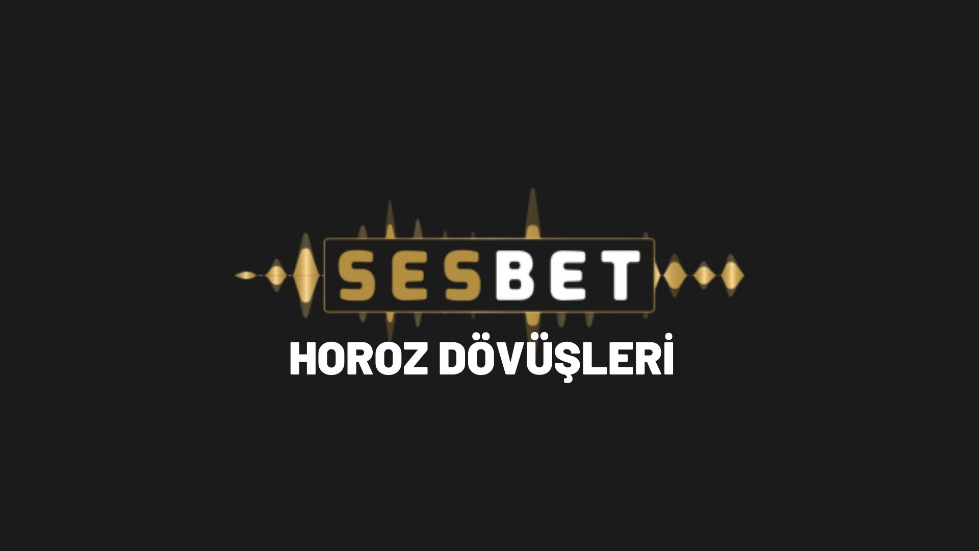 sesbet-horoz-dovusleri